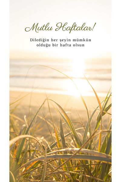 Miri Aksesuar أقراط على شكل فراشة من حجر الزركون