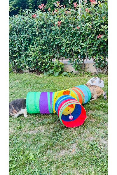 DEMİRHAN İTHALAT Evcil Hayvan Kedi Oyun Tüneli 3 Yönlü Üç Lü Katlanabilir Gökkuşağı Renkli