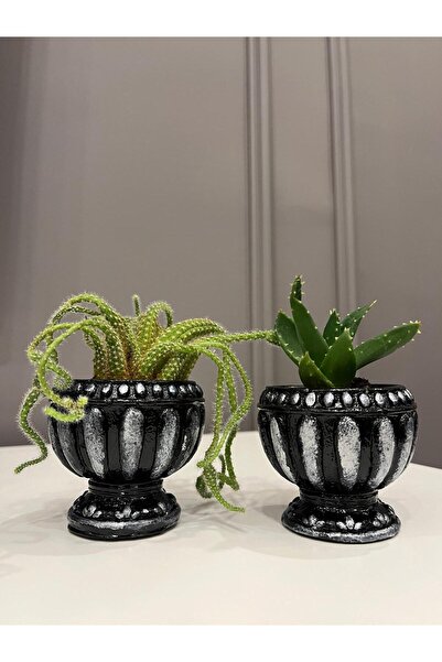 Home Dekoratif Saksı 2'li Kaktüs Sukulent Ve Salon Bitkisi Saksı Seti