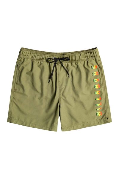 BİLLABONG Billabong All Day Heritage Lb Men's Shorts W1lb13