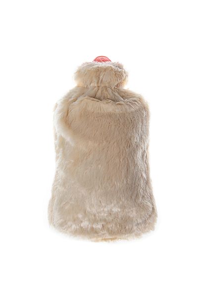Biggdesign Köpek Sıcak Şişe, 2L, Bej