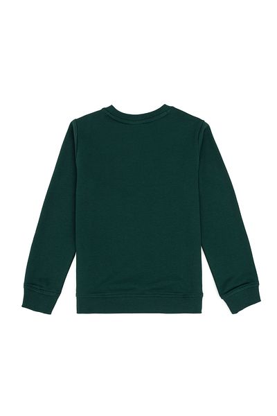 U.S. Polo Assn. Boy's Dark Green Basic Crew Neck T-Shirt 50293474 -Vr079