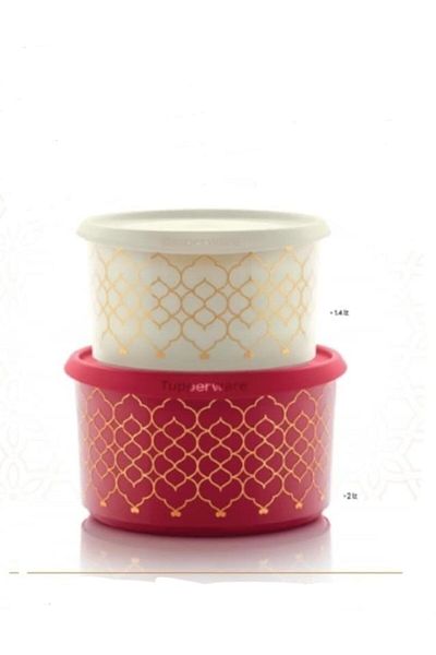 Tupperware Single Finger 2-Piece Storage Container