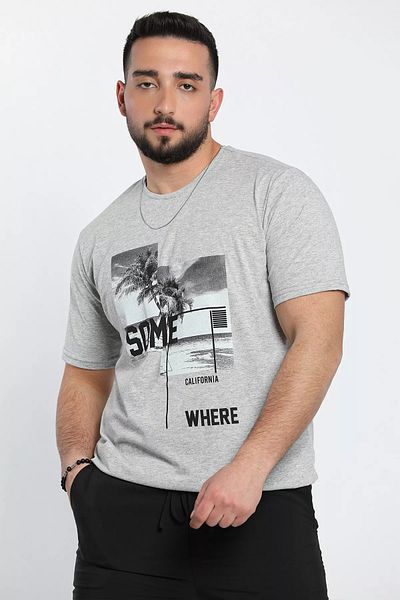 MİSHAR İTALİA Ανδρικό μπλουζάκι με γκρι λαιμόκοψη California printed