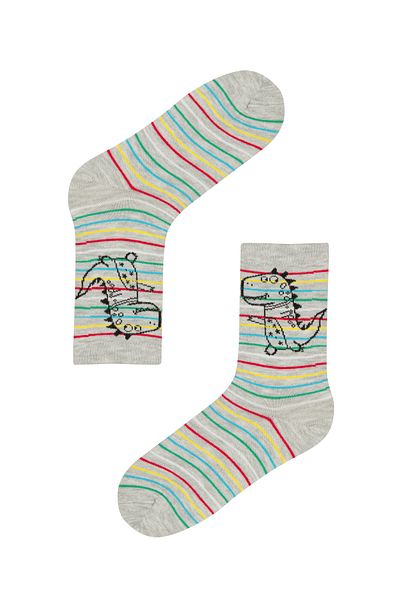 Penti B Dino Socks