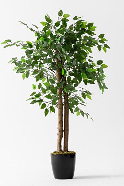 Güleç Yapay Çiçek Arborele Benjamin Artificial 130 Cm