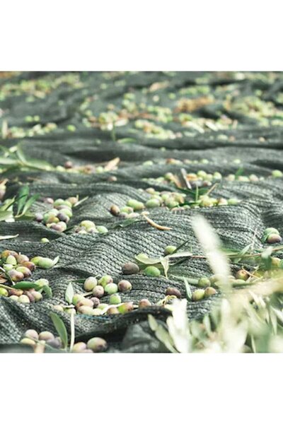 Özçiğdem %75 Zeytin Toplama Filesi Örtüsü Sergisi 4x7