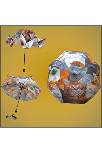 Umbrella Kedi Desenli 8 Telli Yarasa Model Manuel Rüzgara Dayanıklı