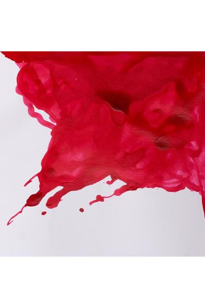 Adel Winsor & Newton Çini Mürekkebi 14ml - Carmine