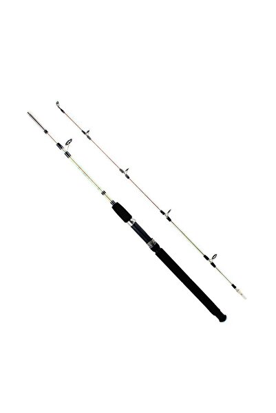 SEA HORSE Classic 30-120gr 1,65m Kamış