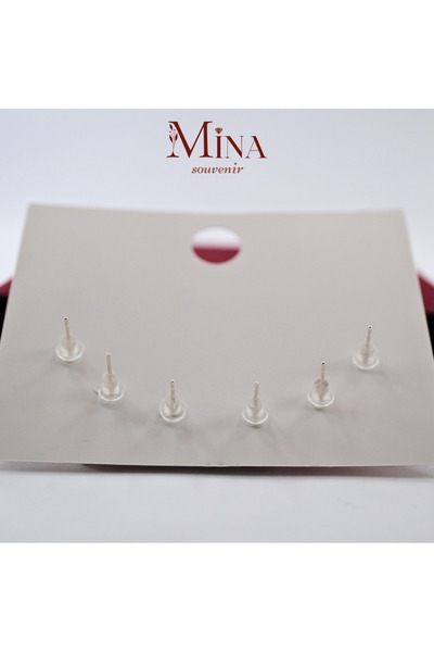 Mina Souvenir Children's - Adult Enamel Earrings 6 Pieces, Needle Parts Silver Colored, Figured Earrings