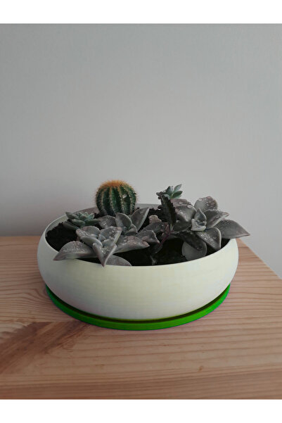 PLASTOBE Aranjman Boğum Saksı 18cm