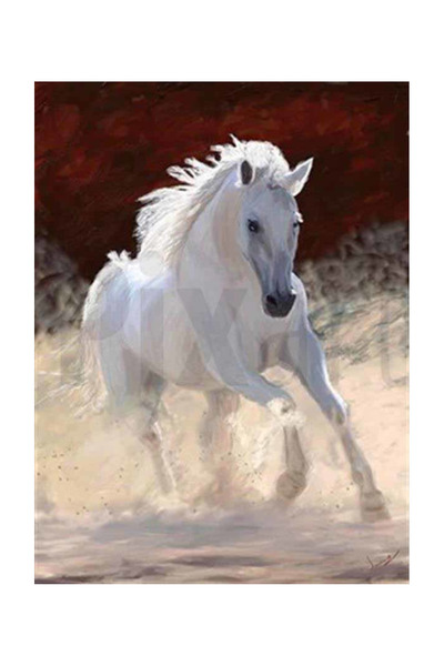 pixartsanat Beyaz Melek Pixart Sanat Elmas Mozik Tablo Daimond Türkiye 43*58