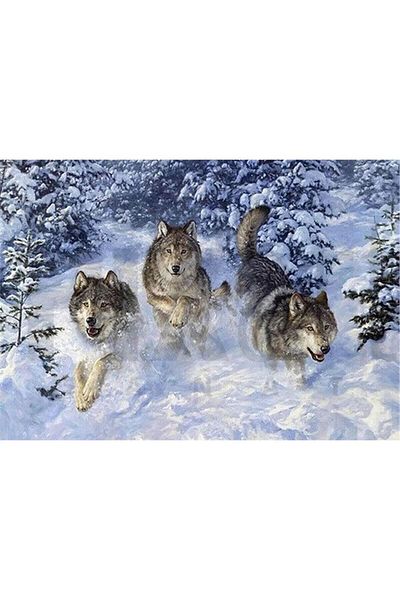pixartsanat Wolves 50x35 PixArt Art Diamond Mosaic Painting Diamond Turkey