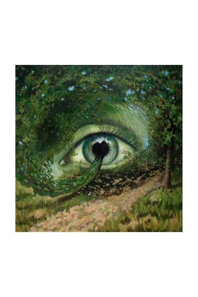 pixartsanat Eye of Nature Pixart Art Diamond Mosaic Painting Diamond Turkey 61*61