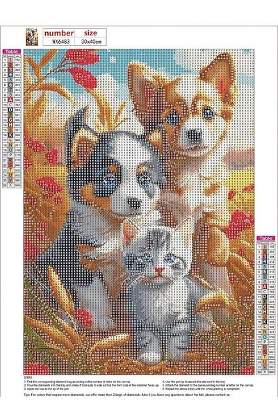 pixartsanat Pixart Art Diamond Mosaic Cat Dog Diamond Painting - Turkey 30X40