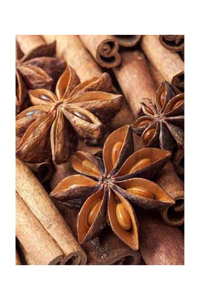 pixartsanat Cinnamon And Cocoa Pixart Art Diamond Mosaic Painting Diamond Turkey 41*53