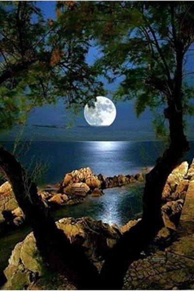 pixartsanat Full Moon Night Pixart Art Diamond Mosaic Painting Diamond Türkiye 41*61