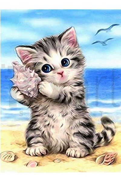 pixartsanat A Cat on the Sea 30 *40 Cm Pixart Art Diamond Mosaic Painting Diamond Turkey