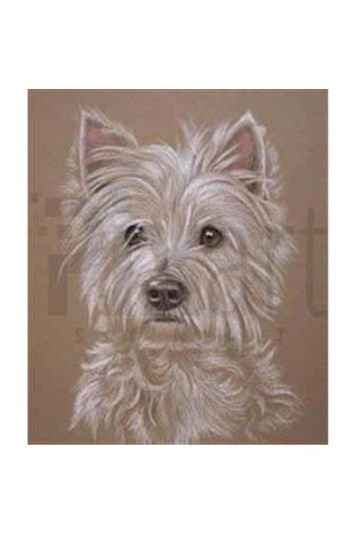 pixartsanat White Dog Pixart Art Diamond Mosic Painting Daimond Turkey 45*53
