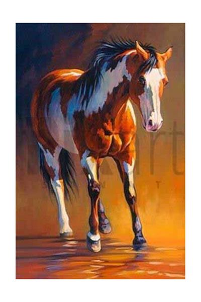 pixartsanat Patched Horse Pixart Art Diamond Mosaic Painting Diamond Turkey 42*62