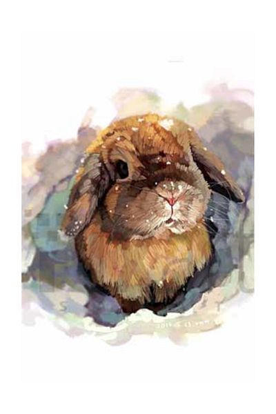 pixartsanat Rabbit in the Snow Pixart Art Diamond Mosaic Painting Diamond Turkey 40*50