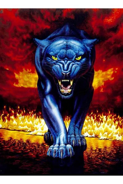 pixartsanat 30 x 40 cm Flaming Panther PixArt Art Diamond Mosaic Painting Diamond Turkey