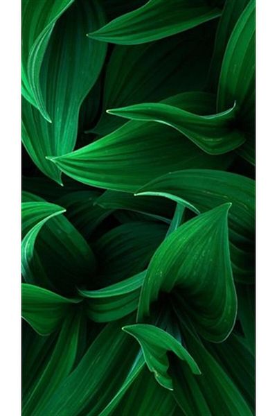 pixartsanat Green Leaves Pattern Pixart Art Diamond Mosaic Painting Diamond Türkiye 40*71