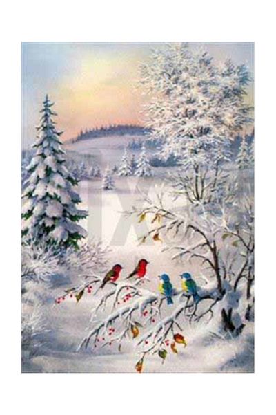 pixartsanat Winter Beauties in Nature Pixart Art Diamond Mosaic Painting Diamond Turkey 40*55