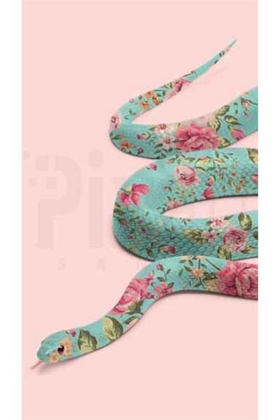 pixartsanat Flower Patterned Snake Pixart Art Diamond Mosaic Painting Diamond Turkey 38*69