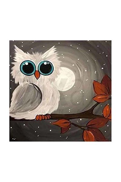 pixartsanat Sweet Owl with Beautiful Eyes Pixart Art Diamond Mosaic Painting Diamond Turkey 38*38