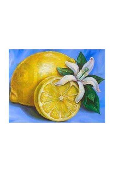pixartsanat Lemon And Flower Pixart Art Diamond Mosaic Painting Diamond Türkiye 53*41