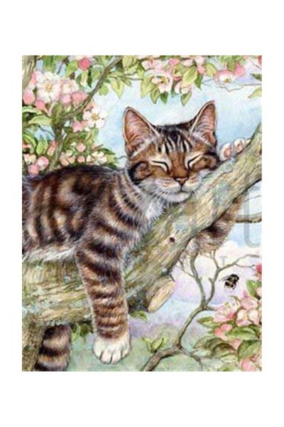 pixartsanat Miskin Cat Pixart Art Diamond Mosic Painting Daimond Türkiye 48*63
