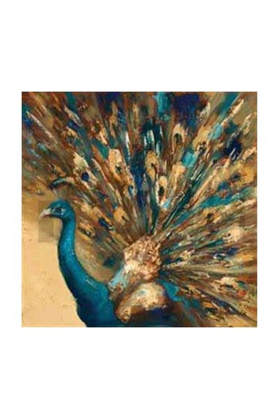 pixartsanat Old Peacock Drawing Pixart Art Diamond Mosaic Painting Daimond Turkey 57*57