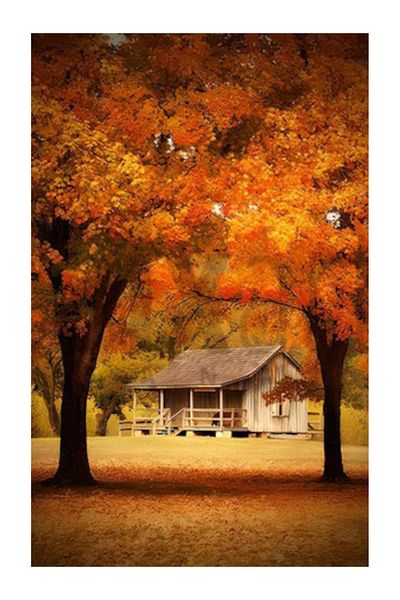 pixartsanat Autumn Scenery Pixart Art Diamond Mosaic Painting Diamond Turkey 40*60