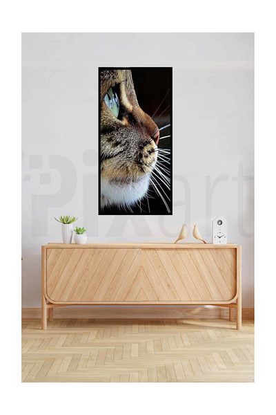 pixartsanat Cat Eye Pixart Art Diamond Mosaic Painting Diamond Türkiye 40*60