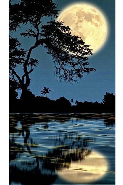 pixartsanat Shadow of the Moon Pixart Art Diamond Mosaic Painting Diamond Turkey 37*69