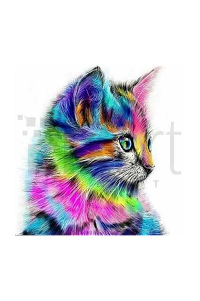 pixartsanat Colorful Kitten Pixart Art Diamond Mosic Painting Daimond Turkey 52*52