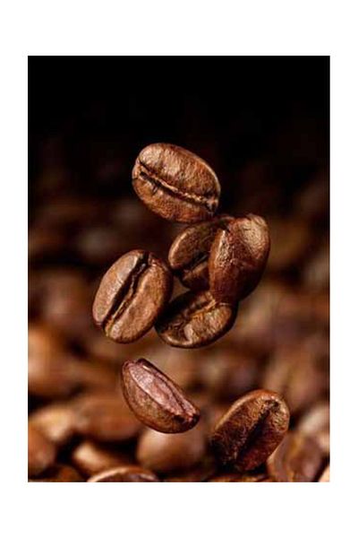 pixartsanat Coffee Bean Pixart Art Diamond Mosaic Painting Diamond Turkey 41*53