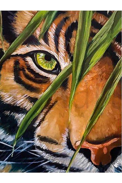pixartsanat 30 X 40 Cm, Tiger in the Forest Pixart Art Diamond Mosaic Painting Diamond Turkey