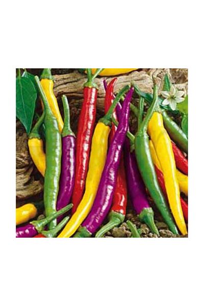 pixartsanat Colored Peppers Pixart Art Diamond Mosaic Painting Diamond Turkey 51*56