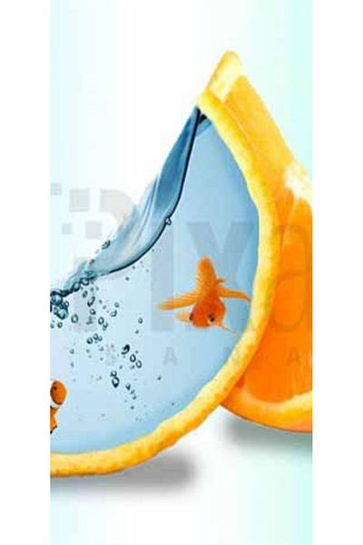 pixartsanat Orange Peel And Goldfish Pixart Art Diamond Mosaic Painting Diamond Turkey 33*51