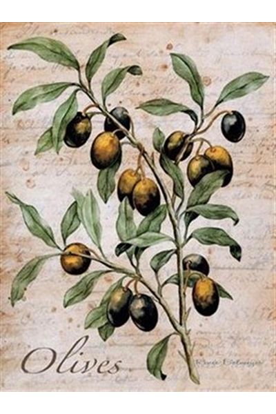 pixartsanat Olive Branch PixArt Art Diamond Mosaic Painting Diamond Türkiye 43*58