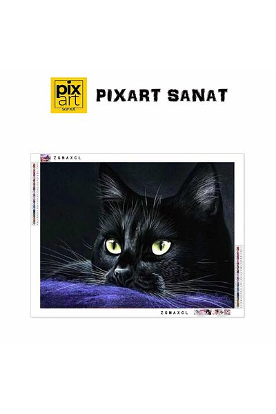 pixartsanat Black Cat 50X35 Pixart Art Diamond Mosaic Painting Diamond Turkey