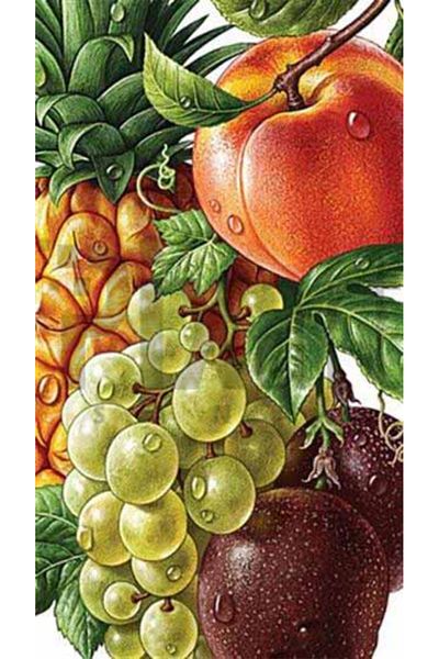 pixartsanat Fresh Fruits PixArt Art Diamond Mosaic Painting Diamond Turkey 20*36