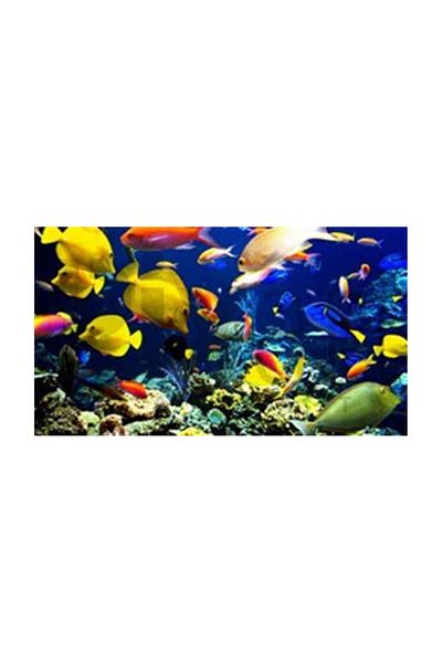 pixartsanat Hidden Life in the Depths of the Ocean Pixart Art Diamond Mosaic Painting Diamond Turkey 65*52