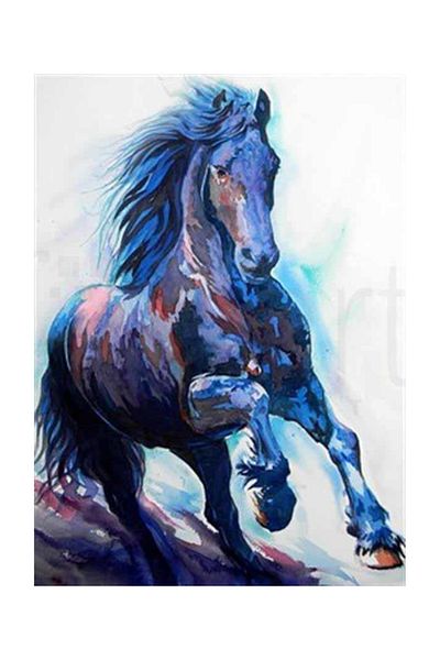 pixartsanat Blue Horse Portrait Pixart Art Diamond Mosic Painting Daimond Turkey 38*53