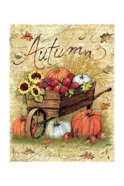 pixartsanat Fruits in the Wheelbarrow Pixart Art Diamond Mosaic Painting Diamond Turkey 41*53