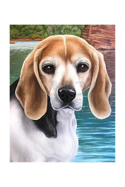 pixartsanat Sweet Foam with Big Ears Pixart Art Diamond Mosic Painting Daimond Turkey 46*63