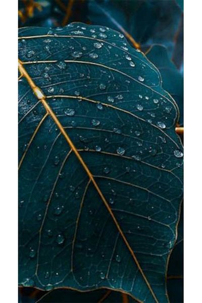 pixartsanat Green And Gold Colored Leaf Pixart Art Diamond Mosaic Painting Diamond Türkiye 40*60
